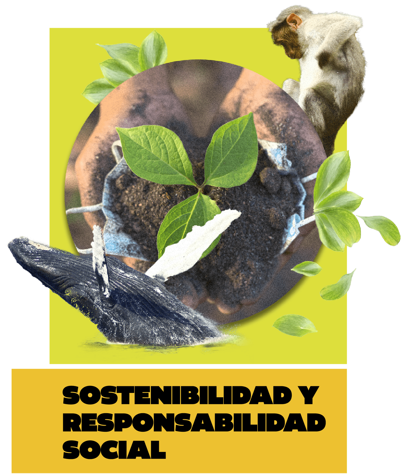 Sostenibilidad y responsabilidad social - Gran Idea
